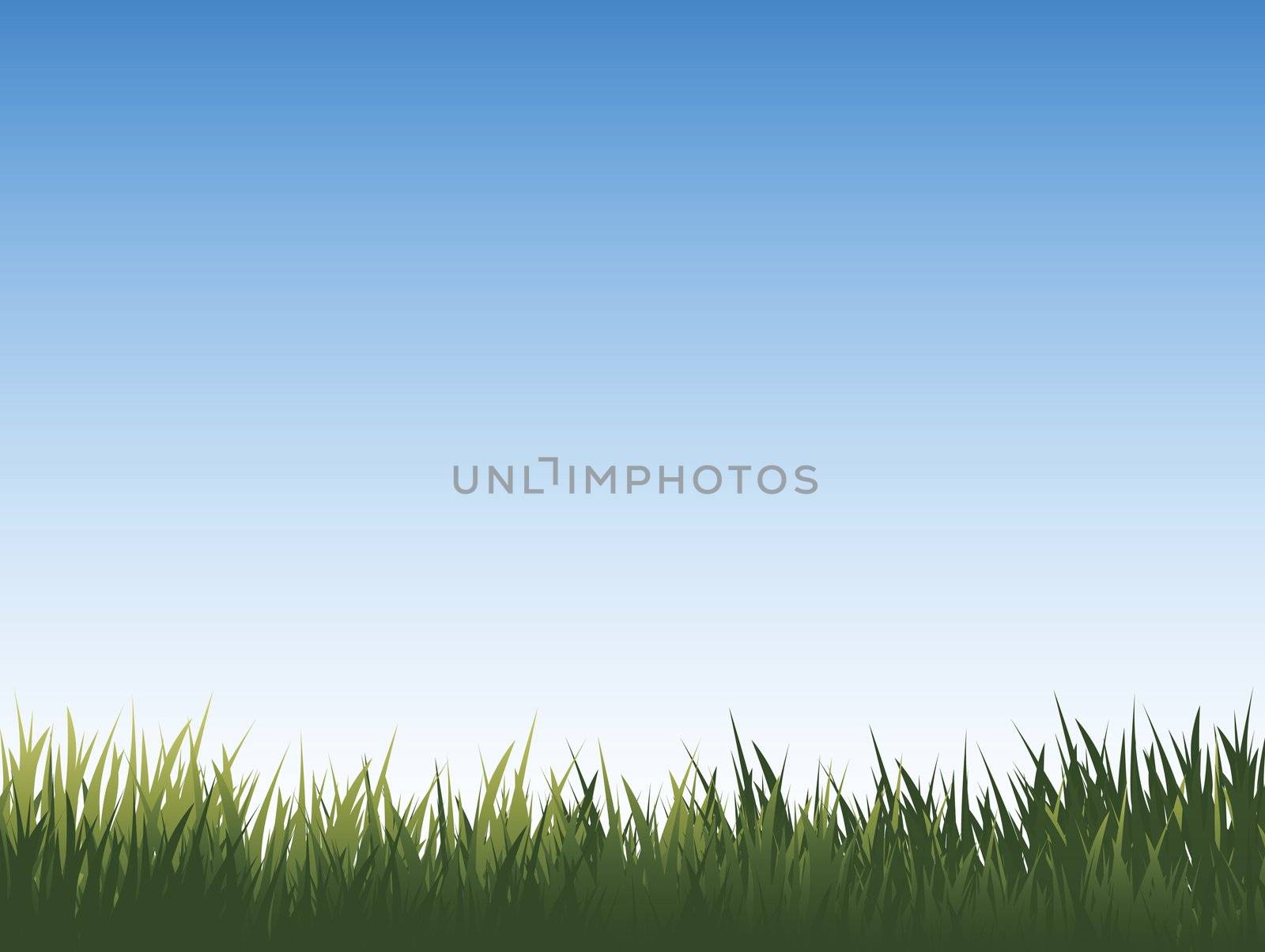 medow with fresh green grass and pure blue sky for your design and art work