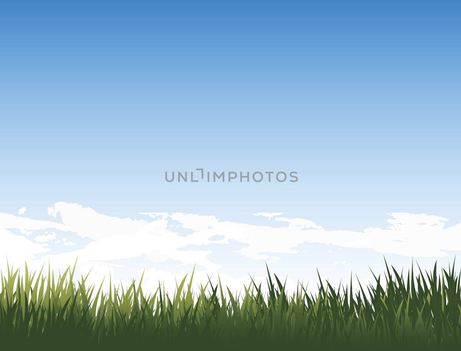 medow with fresh green grass and pure blue sky and clouds for your design and art work