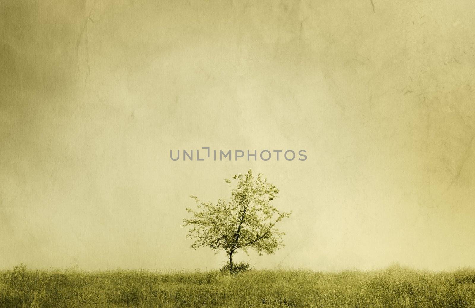 special sepia toned vintage f/x, textured with old paper