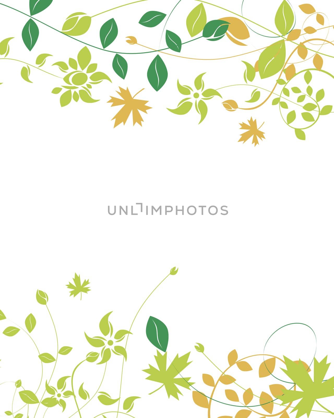 isolated foliage on the white background and space for text