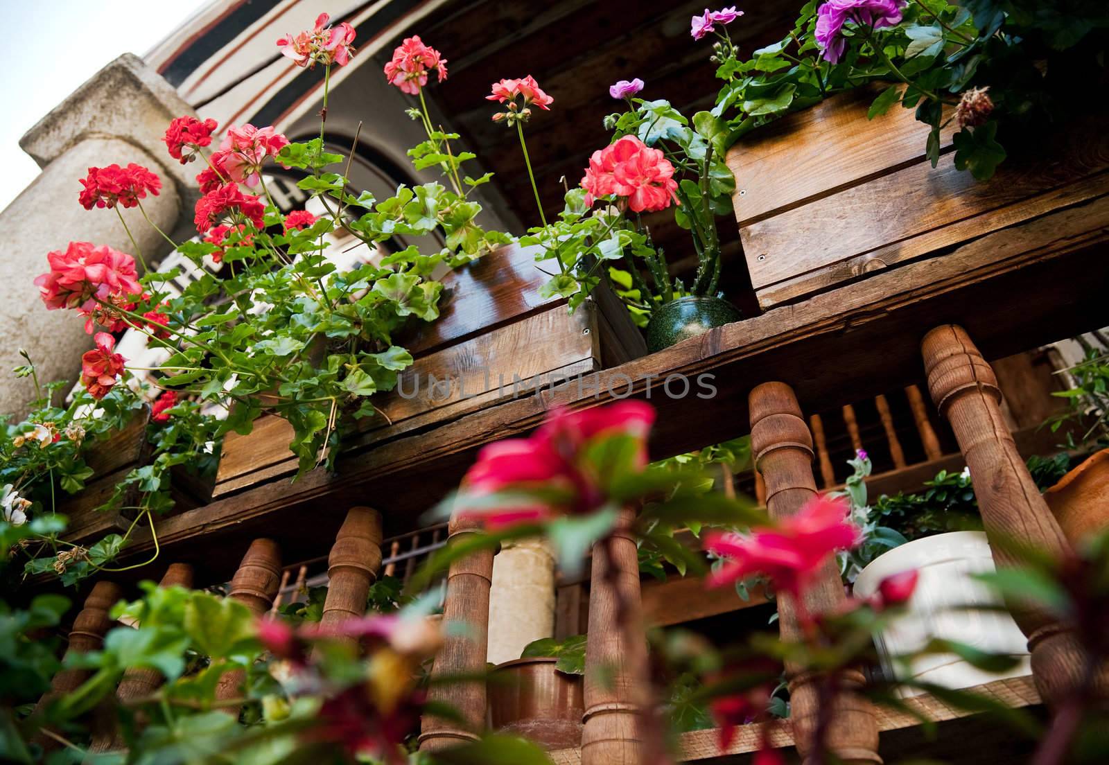 beautiful flower decoration of an old wooden balcony
