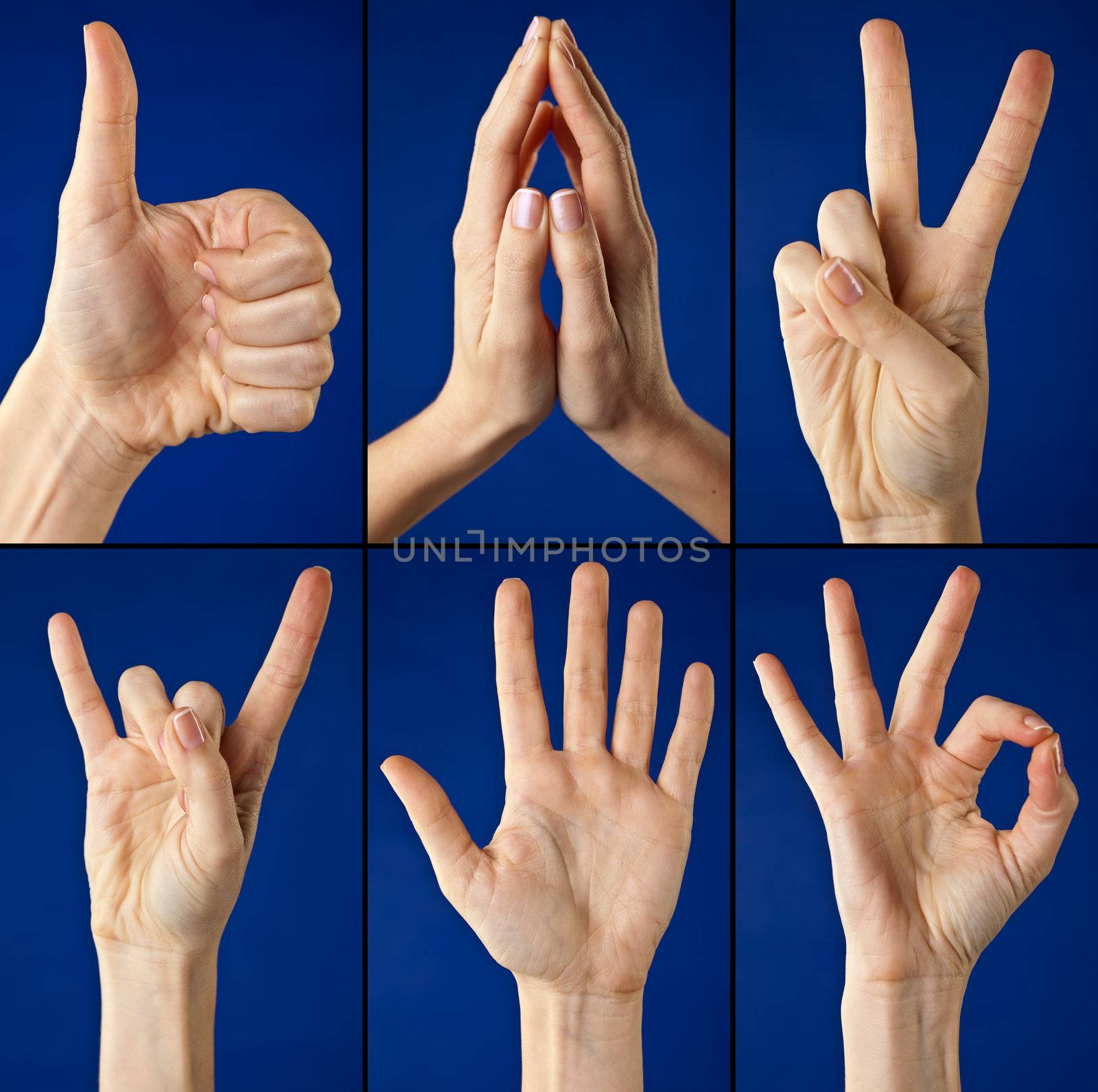 Set of gesturing hands on blue background