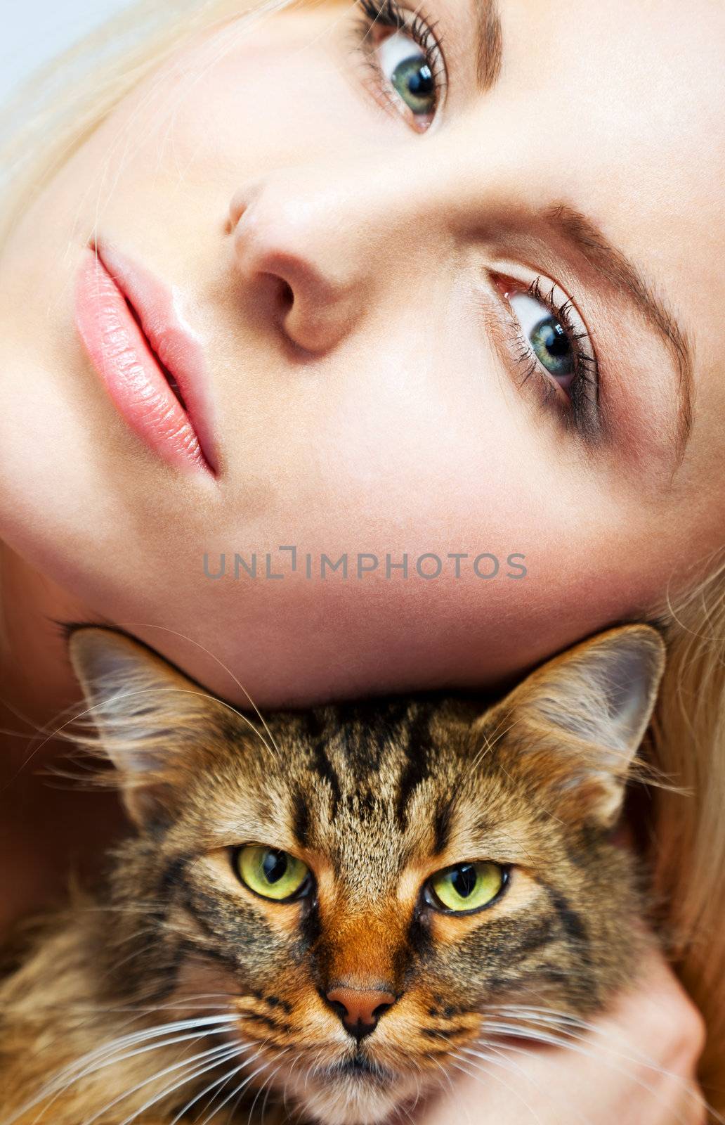 female and cat by vilevi