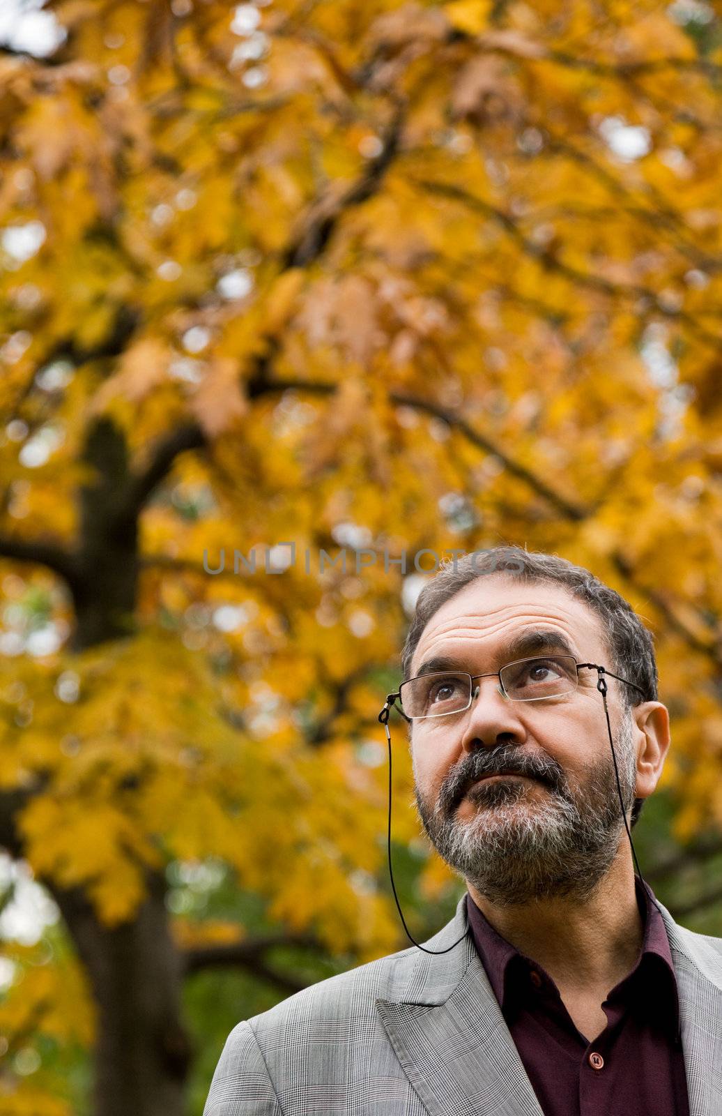 Portrait of serious adult man with glasses in park on autumn day