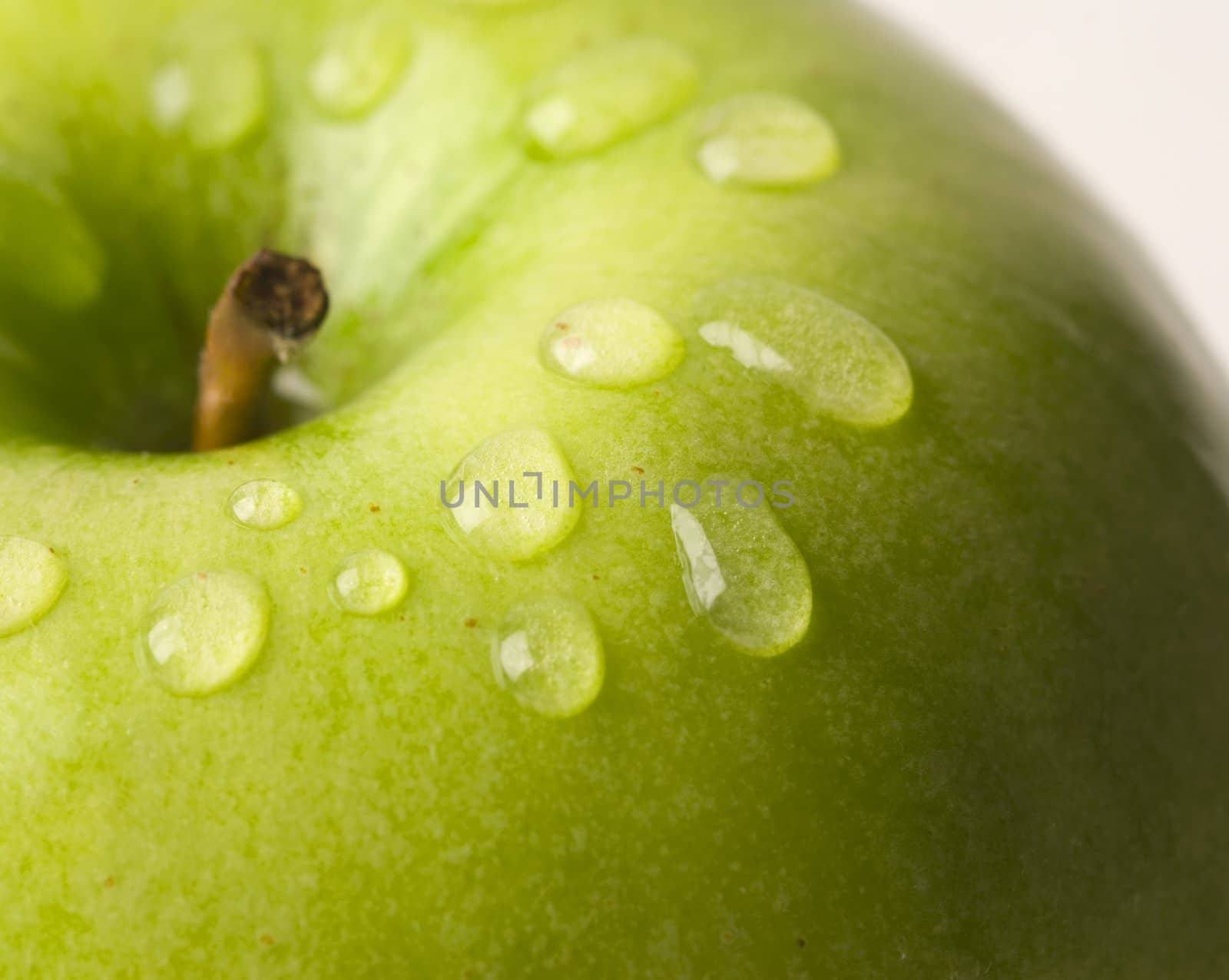 in close up, focus point on drops