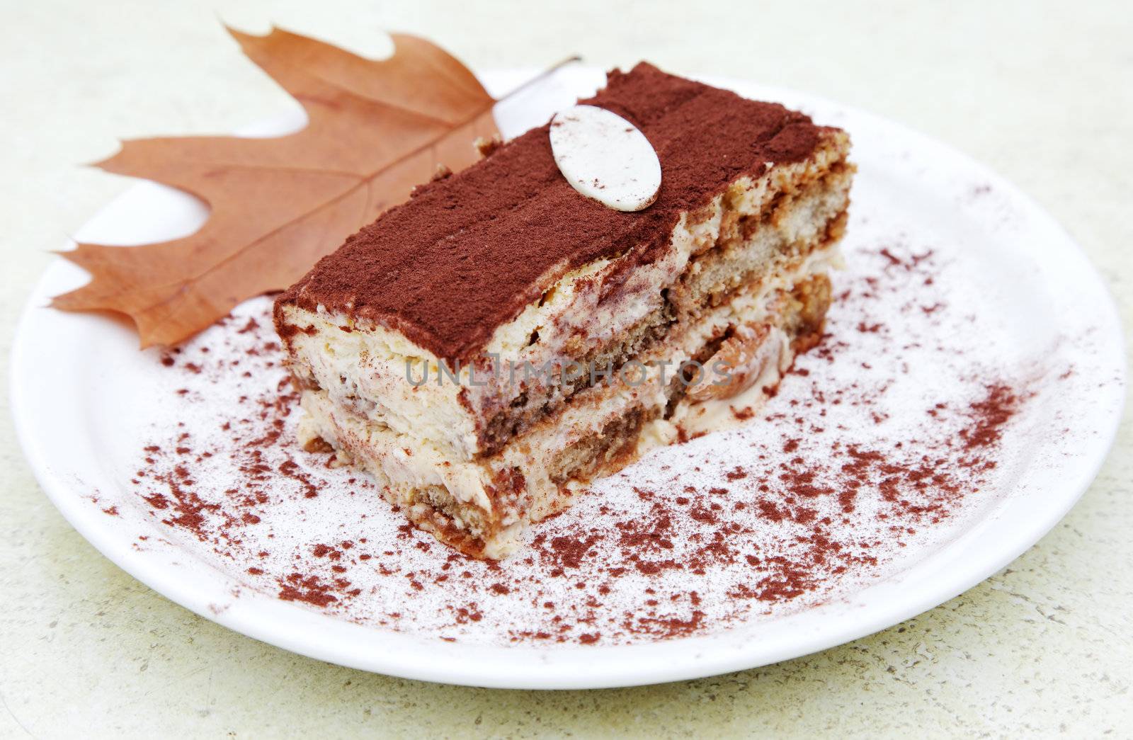 piece of tiramisu cake on a plate with autumn leaf