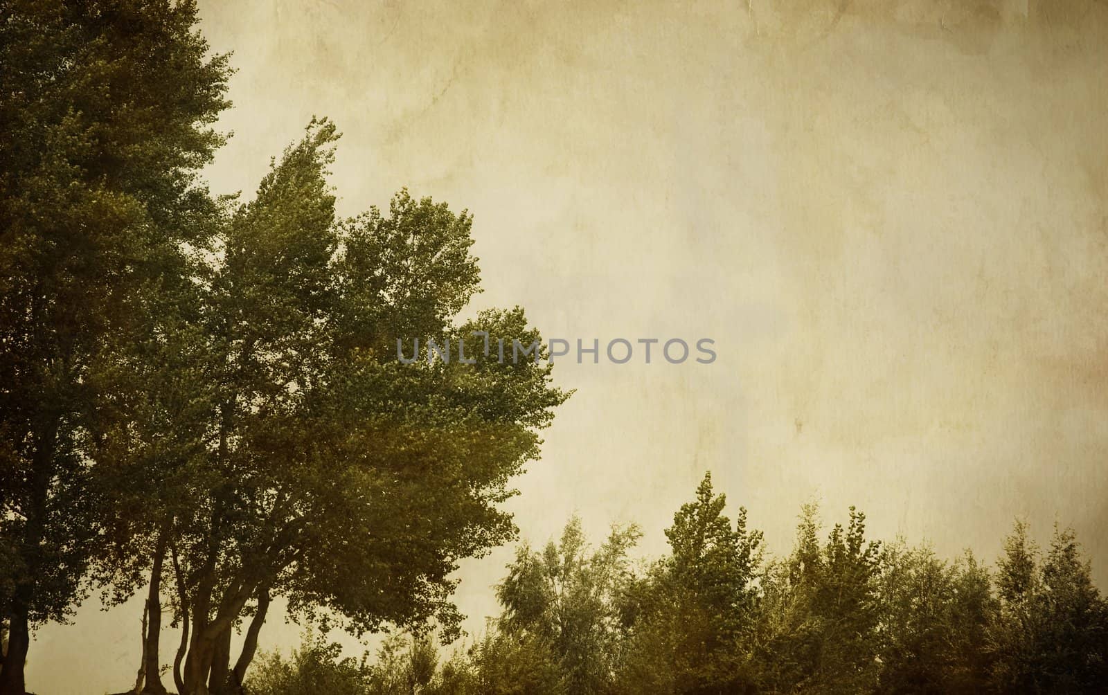 special sepia toned vintage f/x, textured with old paper