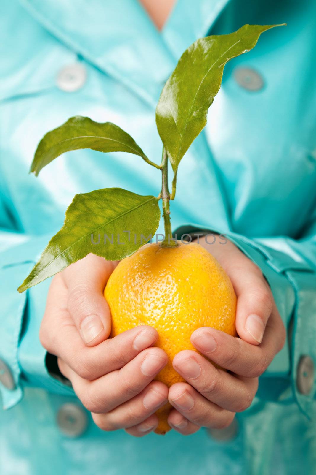 Hands lemon fresh by vilevi