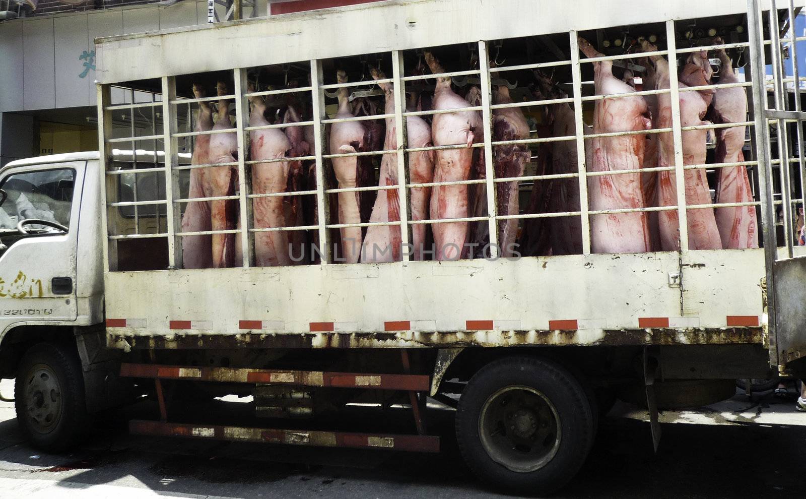 Hang Racks of Pig on a truck in Asia.
