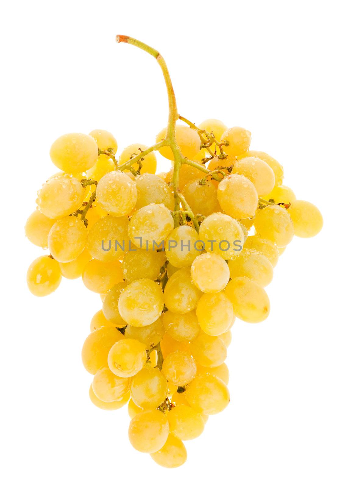 Close-up of fresh yellow grape cluster isolated on white