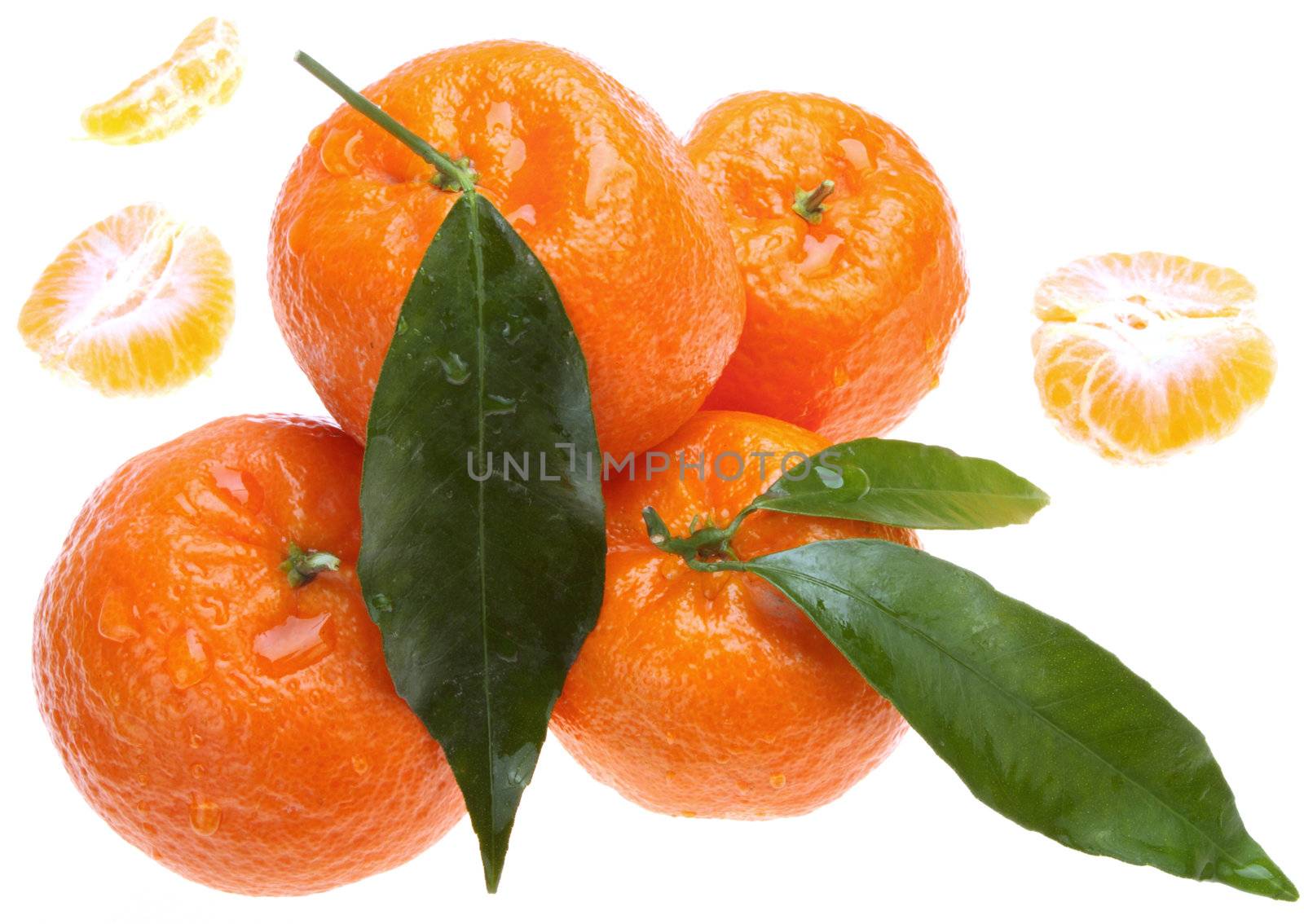 Tangerines with green leaves by vilevi