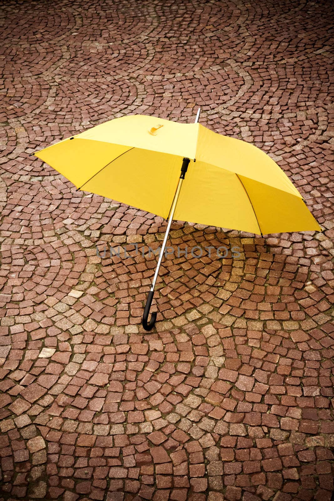 yellow umbrella by Kuzma