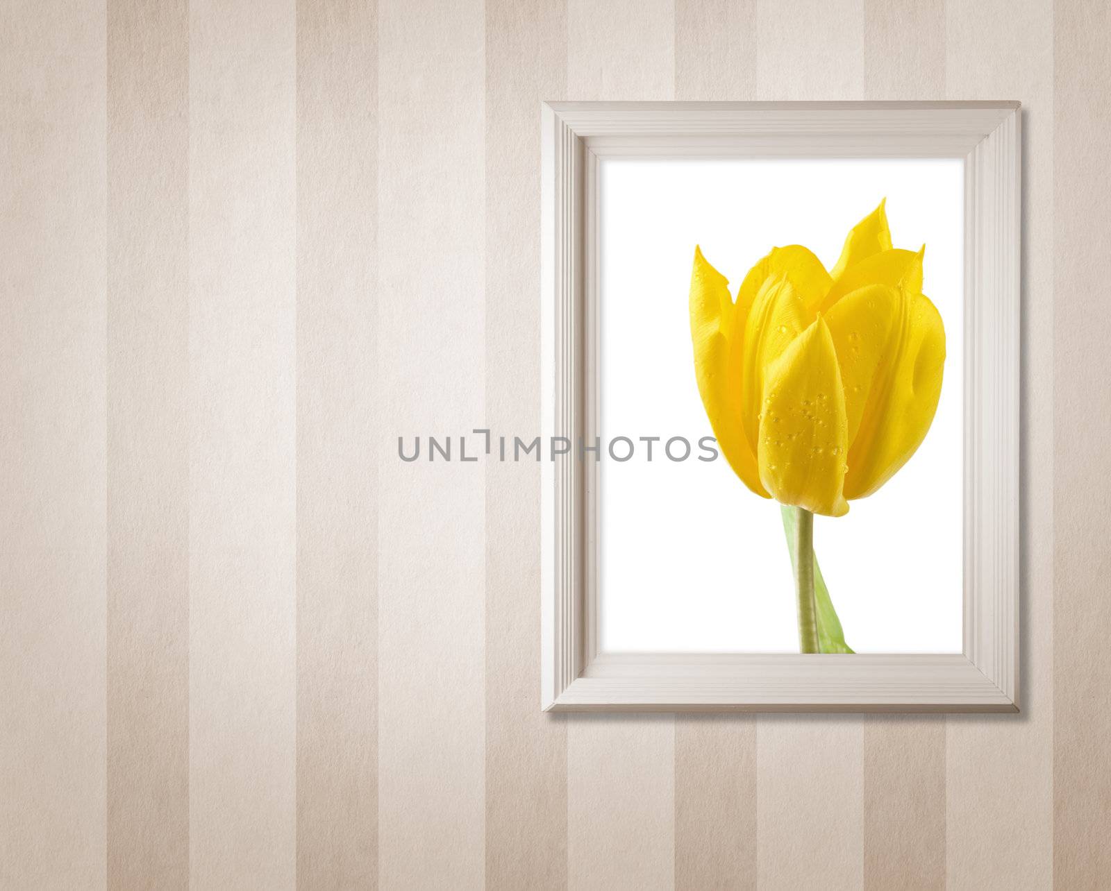 made from my photos and textures