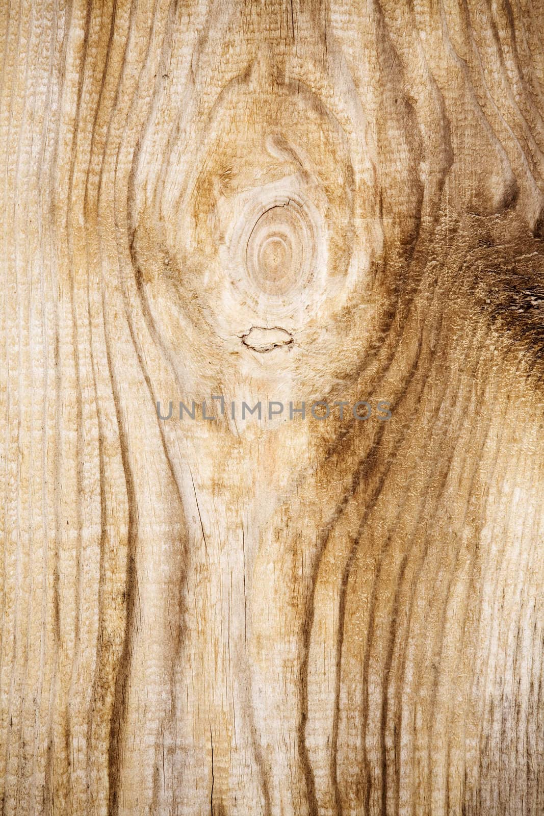 wooden texture by Kuzma