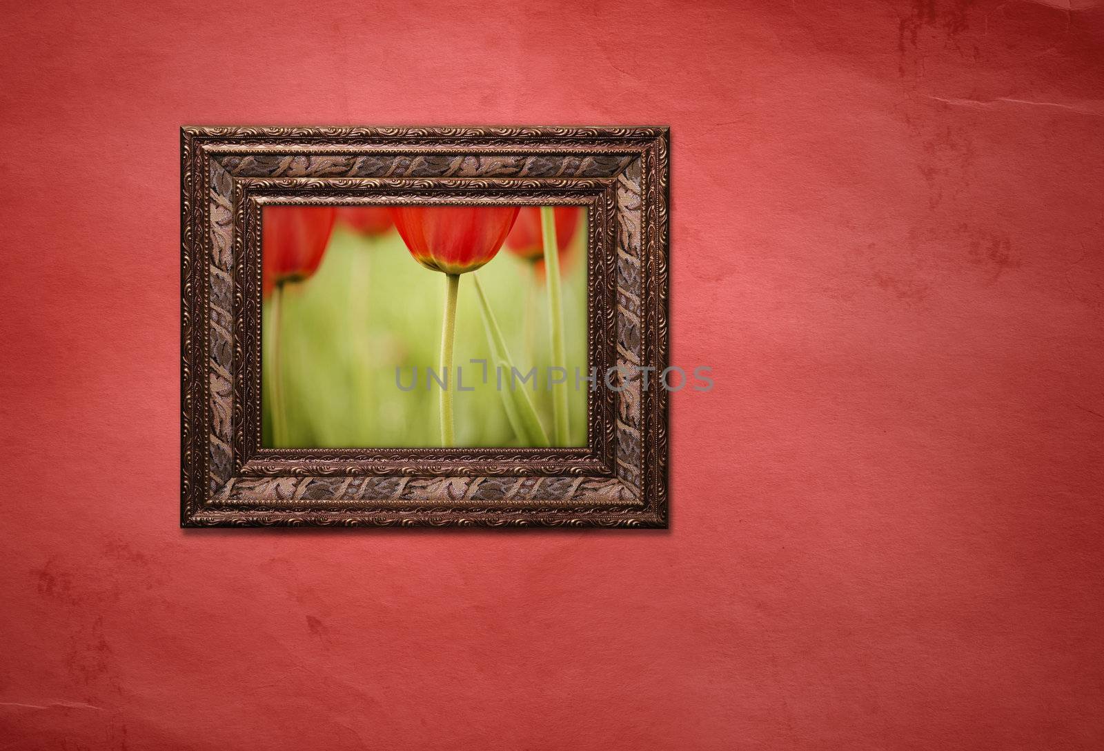 made from my photos and textures
