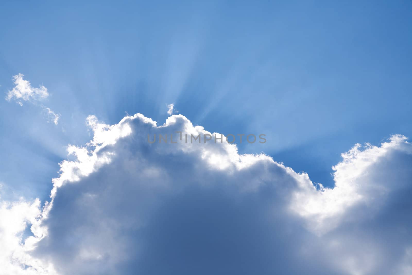 special toned ,focus point on center of photo