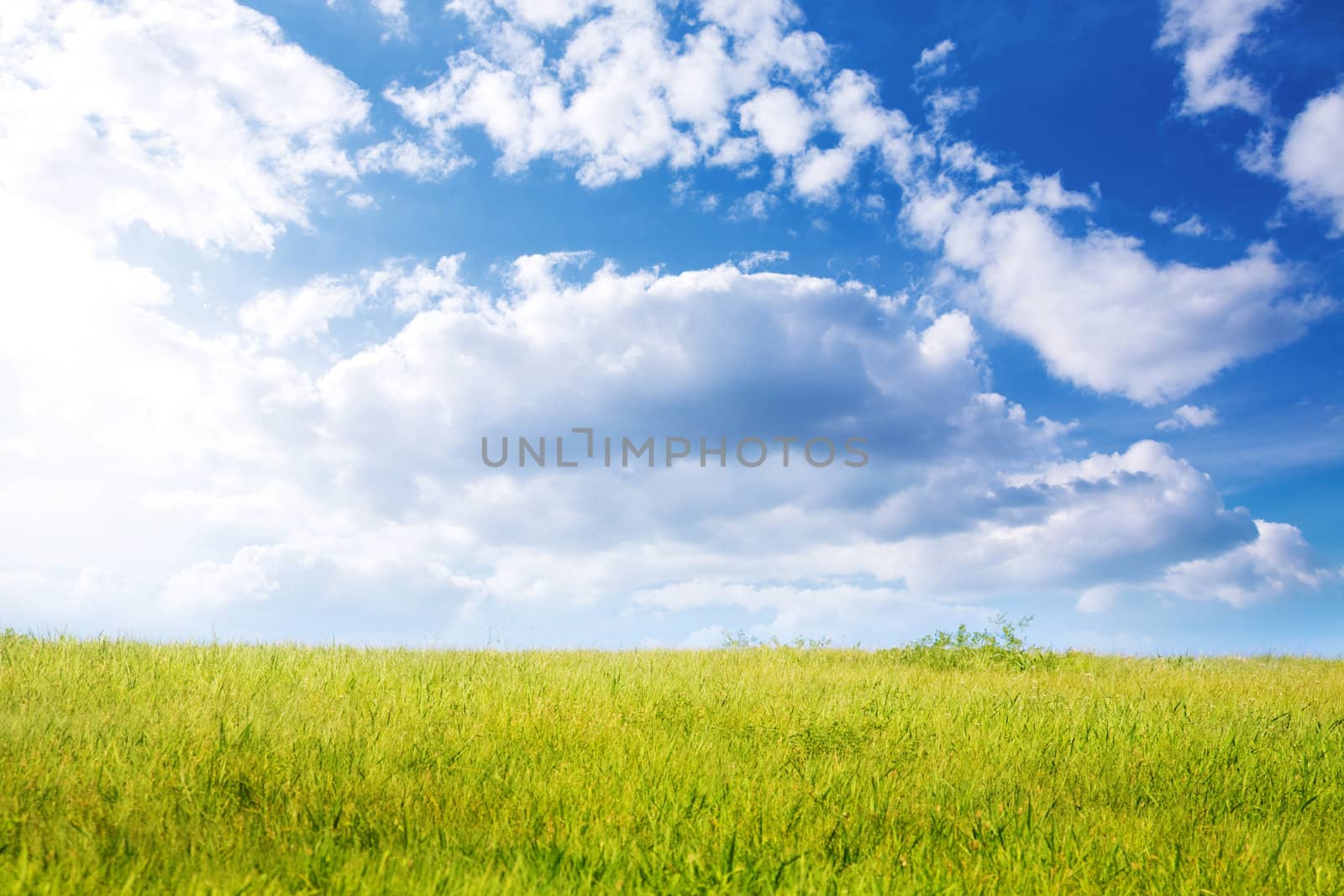 special toned, focus point on nearest part of grass