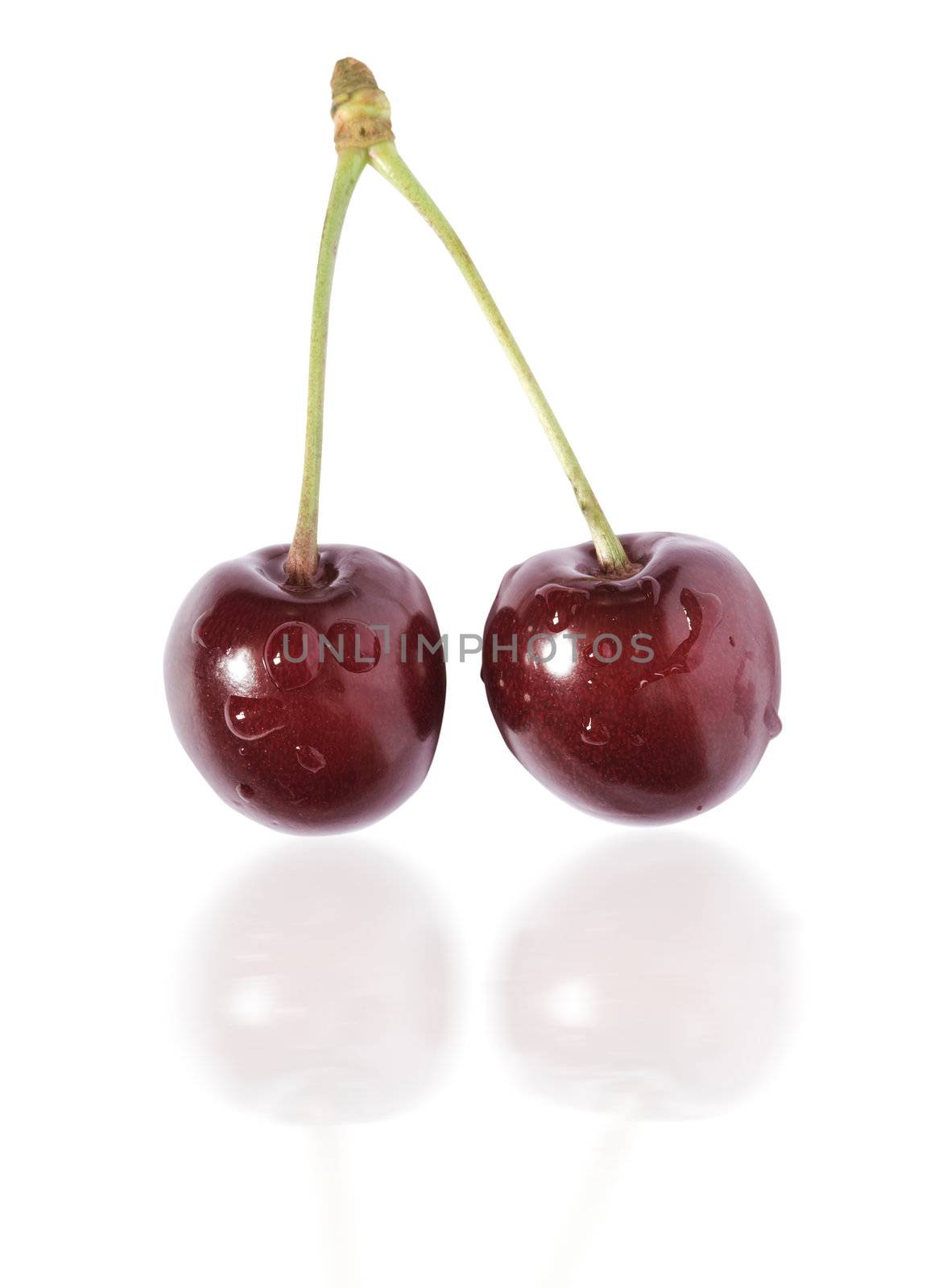 fresh and wet red berry isolated on white background with reflection