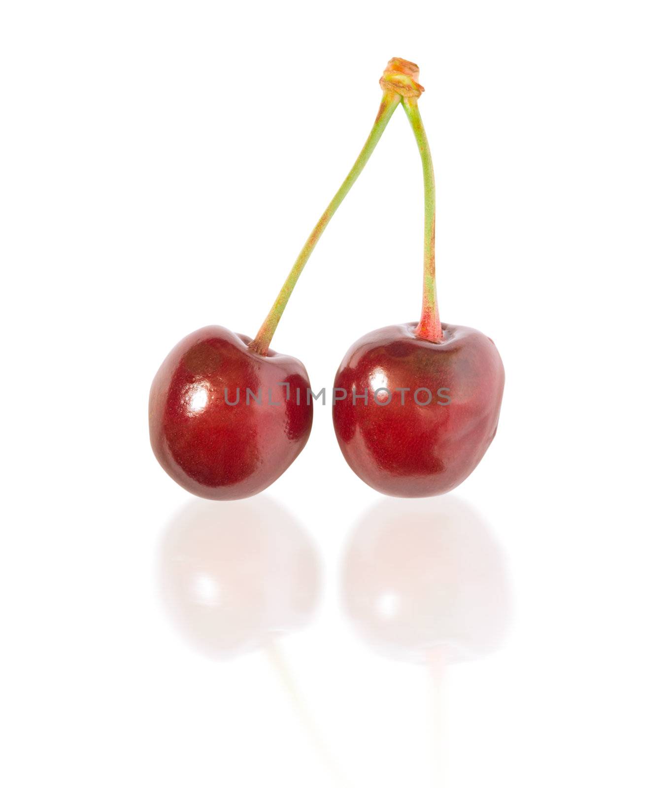 cherry by Kuzma
