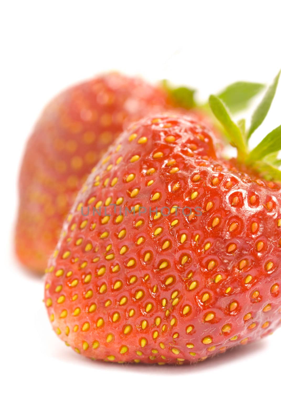 strawberry by Kuzma