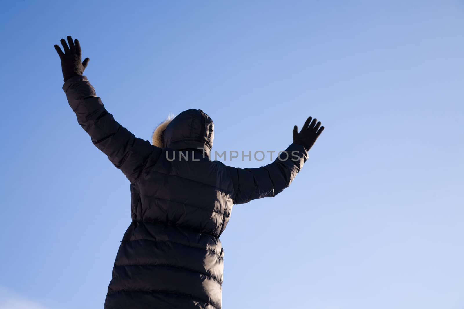 on blue sky background, focus point on nearest part 
