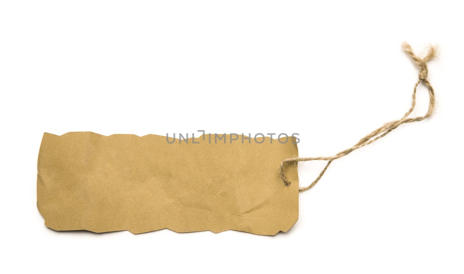isolated on white background, toned, focus point on center of photo