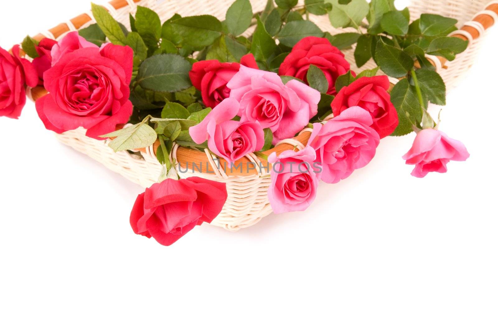 fresh red flowers on tray isolated on white background