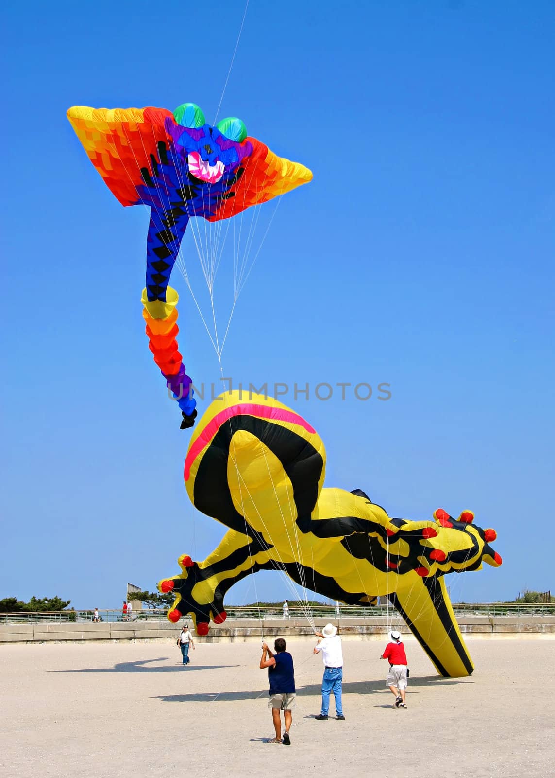 Kites  Festival by york777