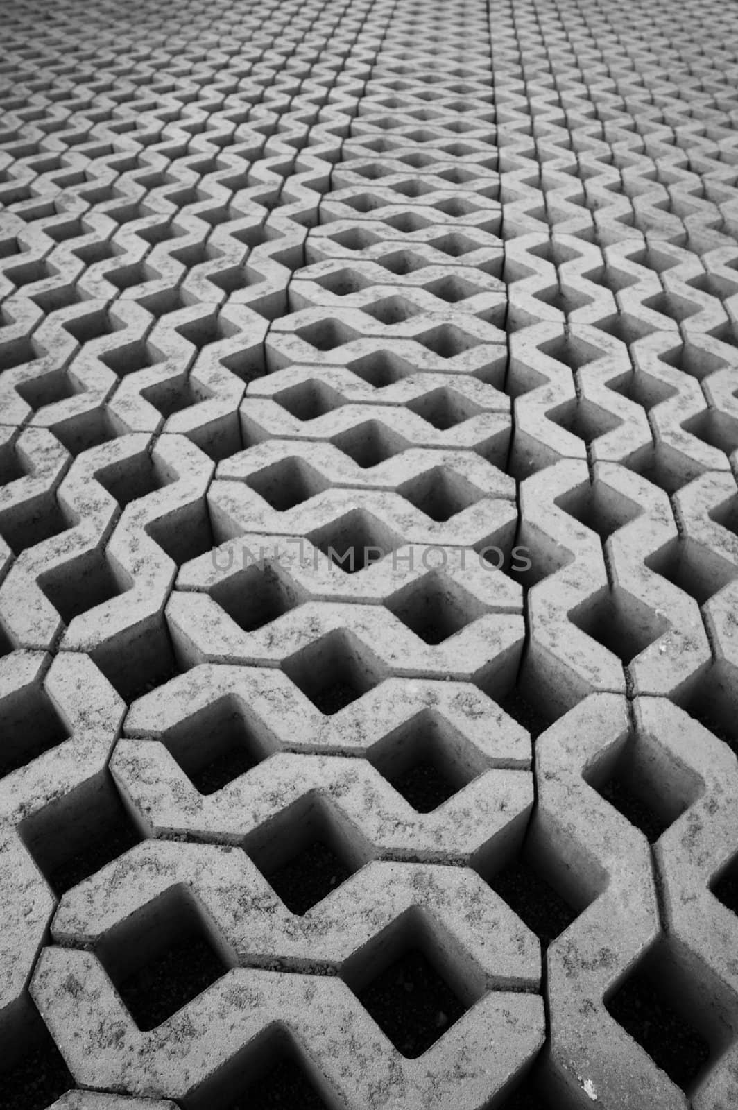 Paving grid by Bateleur