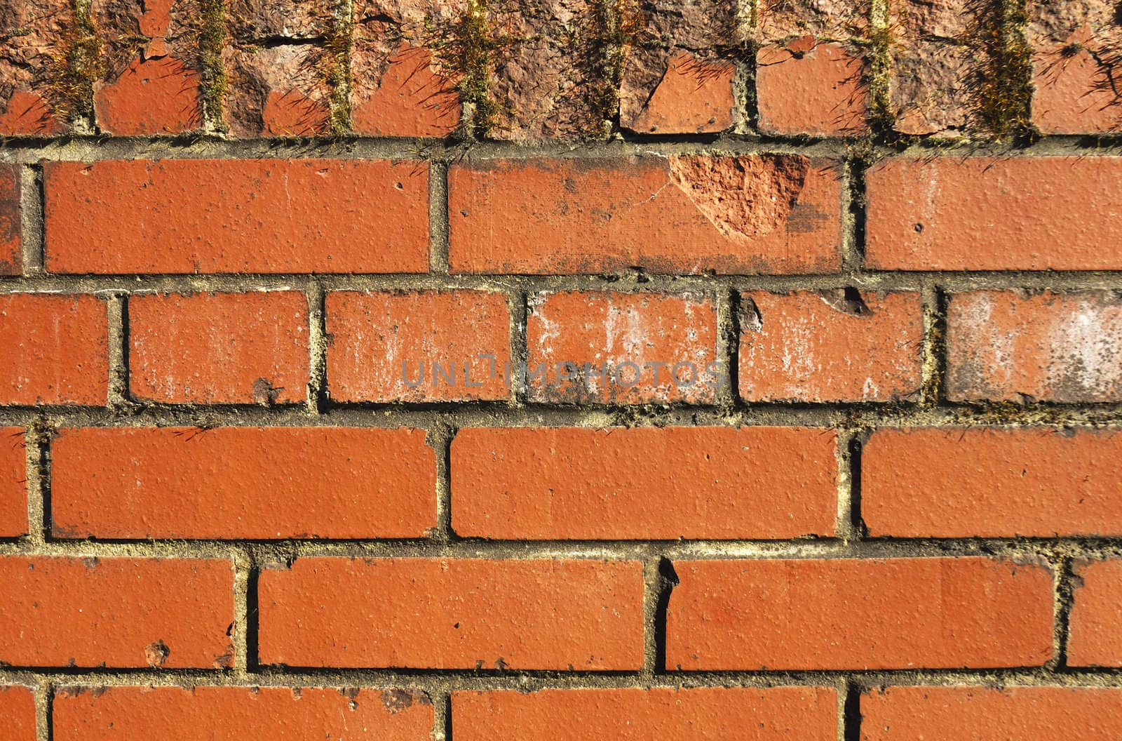 A brick wall, slightly stained and chipped. Suitable as graphic background.
