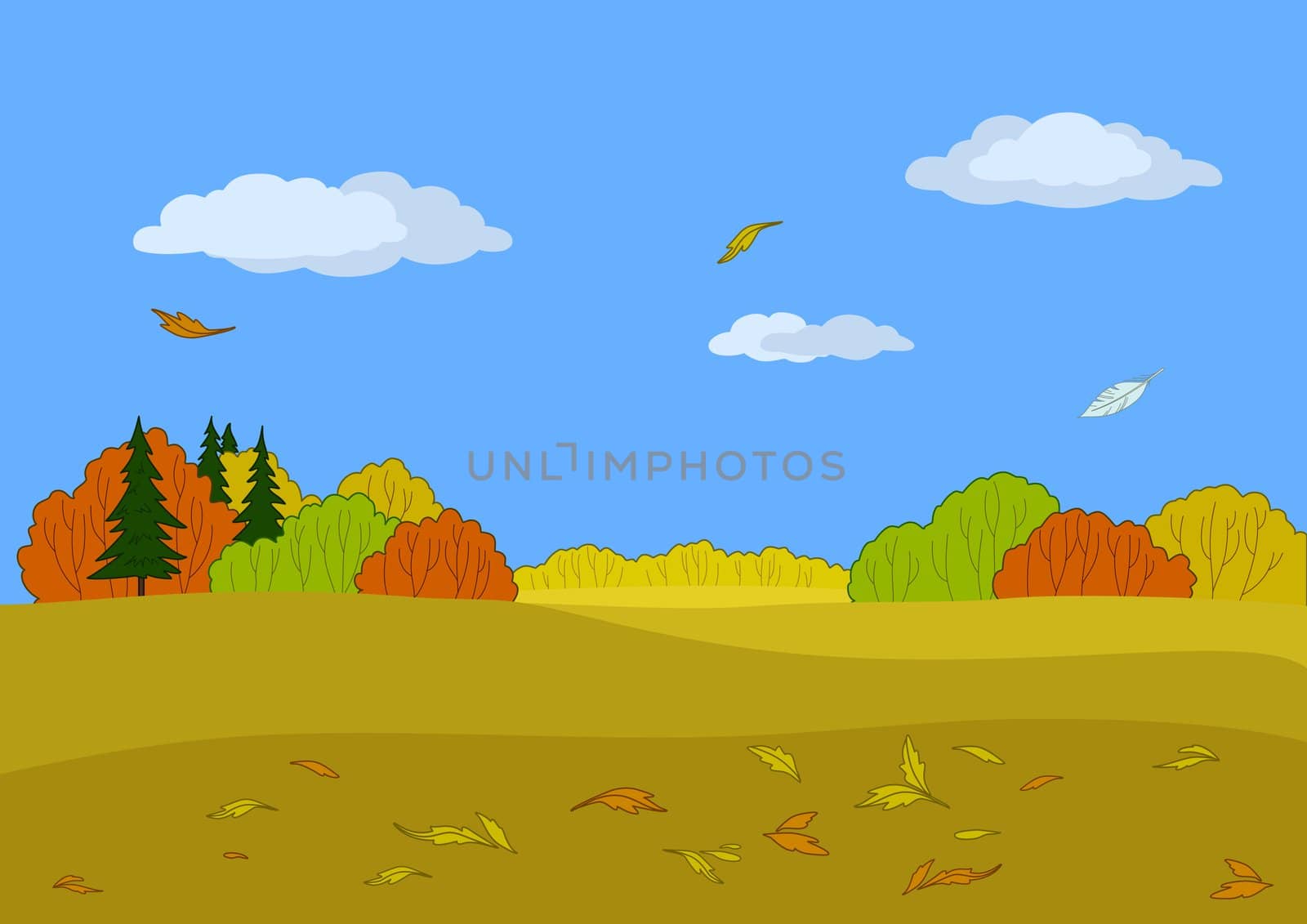 Autumn landscape with the blue sky and various forest