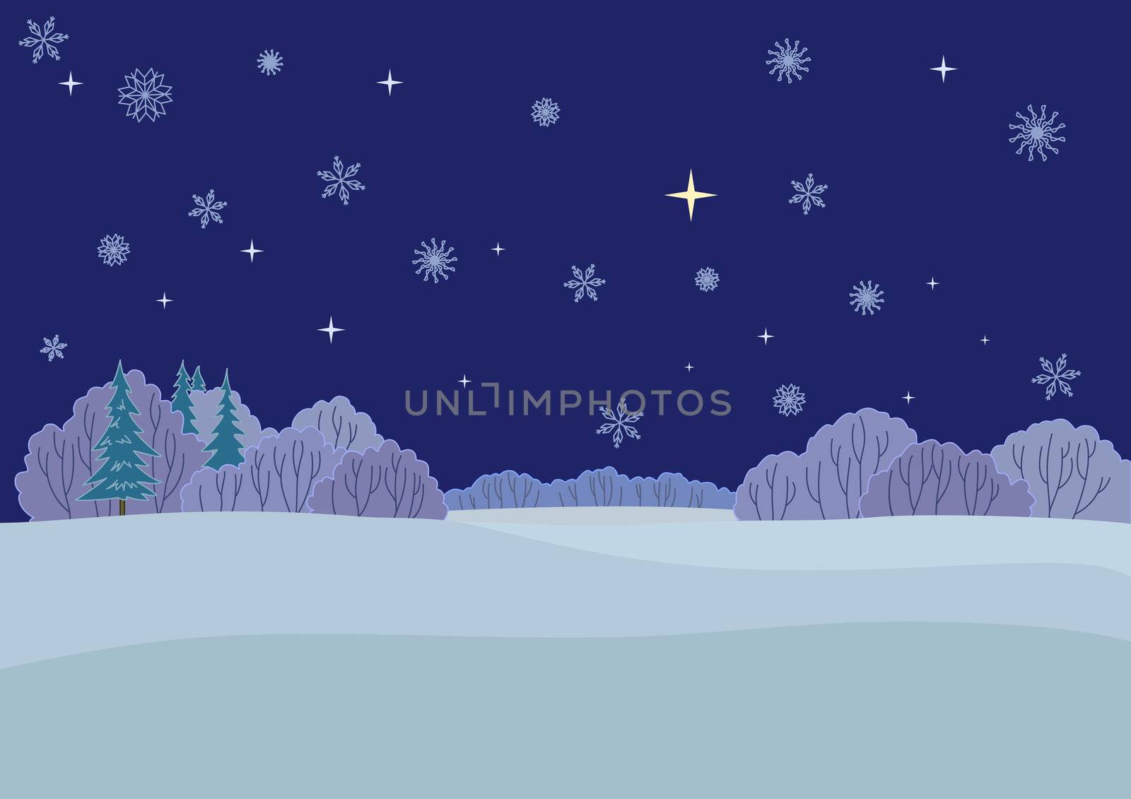 Landscape, winter night by alexcoolok
