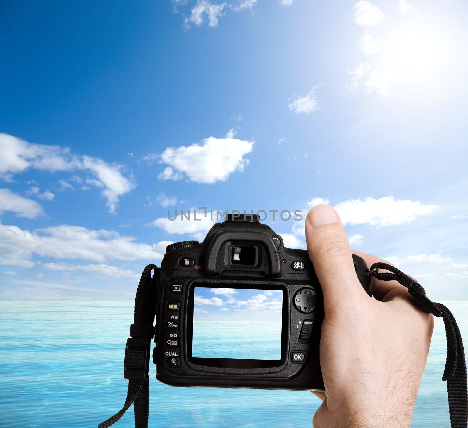 clear and simple nature concept, special toned photo f/x,