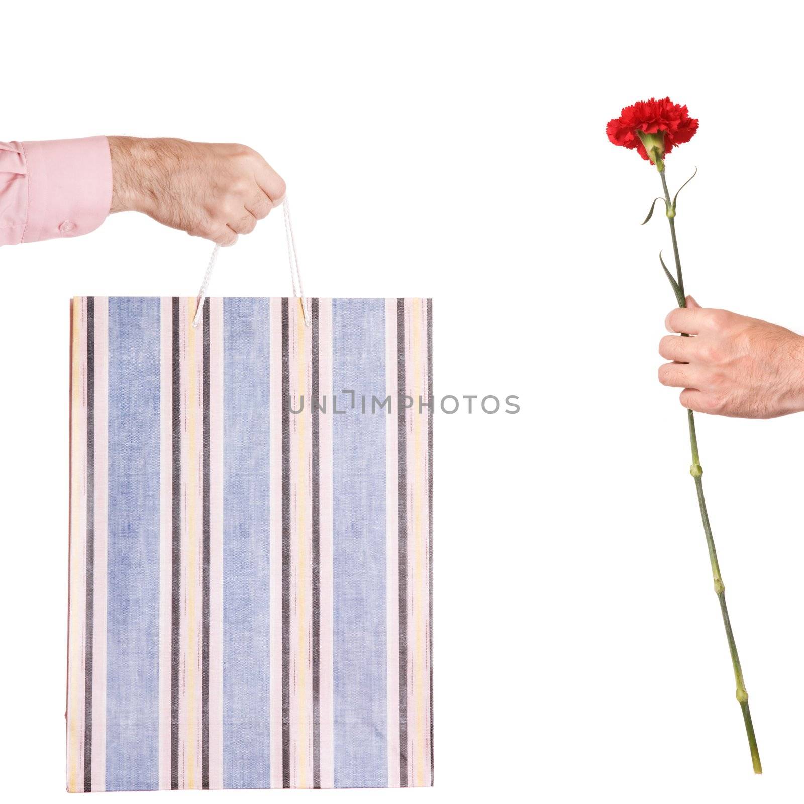 hands with present and red flower  isolated on white background