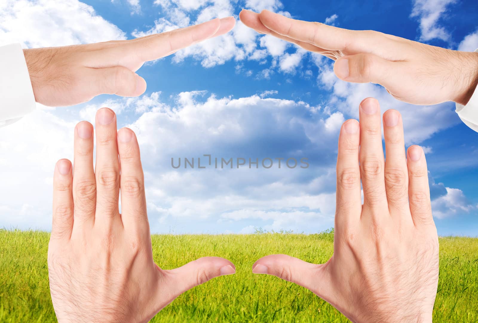 ecology concept, made from images and photos