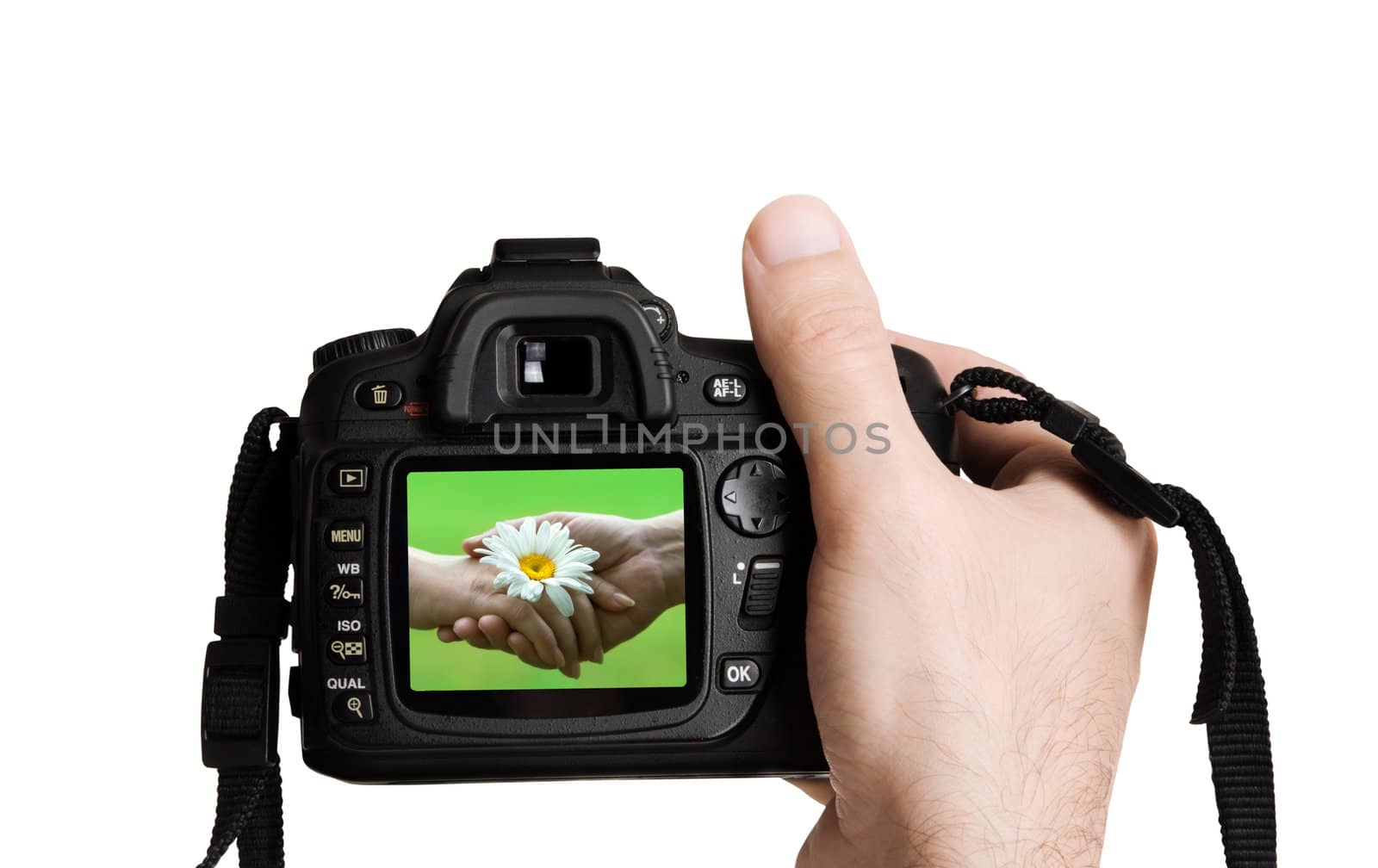 romantic concept,focus point on nearest part of image