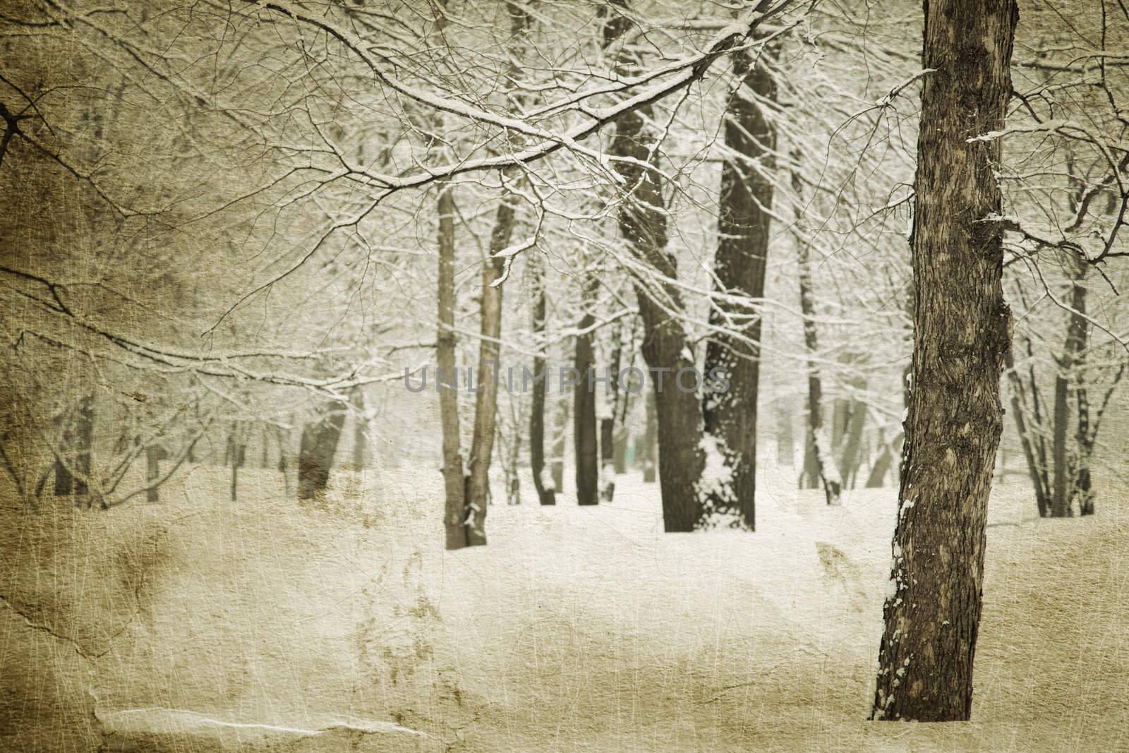 special paper texture ,toned and grunge f/x