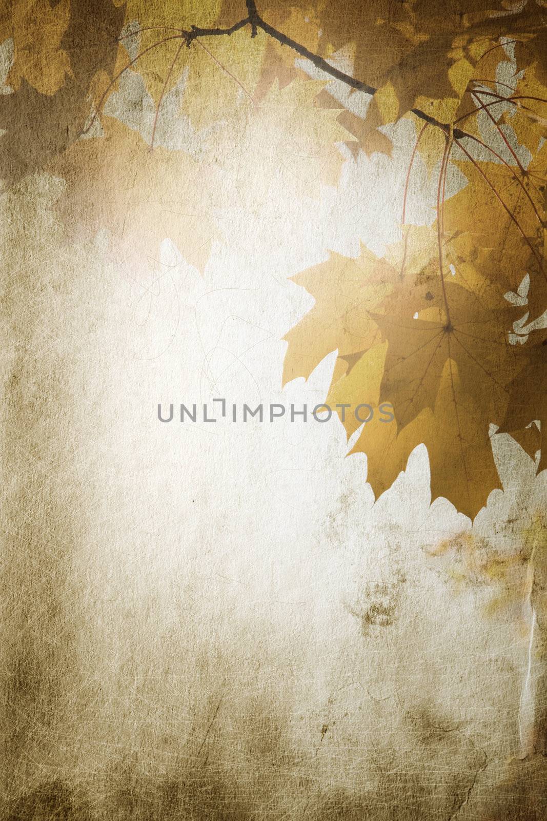 special paper texture ,toned and grunge f/x
