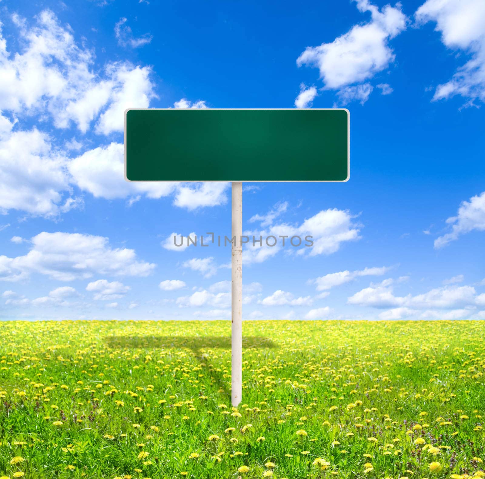 empty green road sign on summer background, focus point on sign