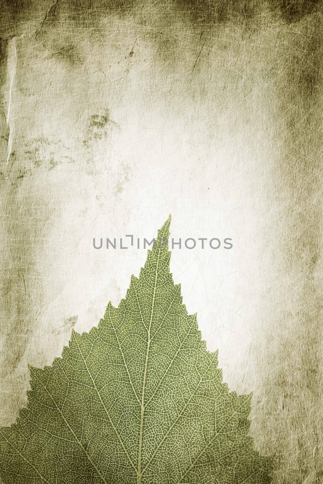 special paper texture ,toned and grunge f/x