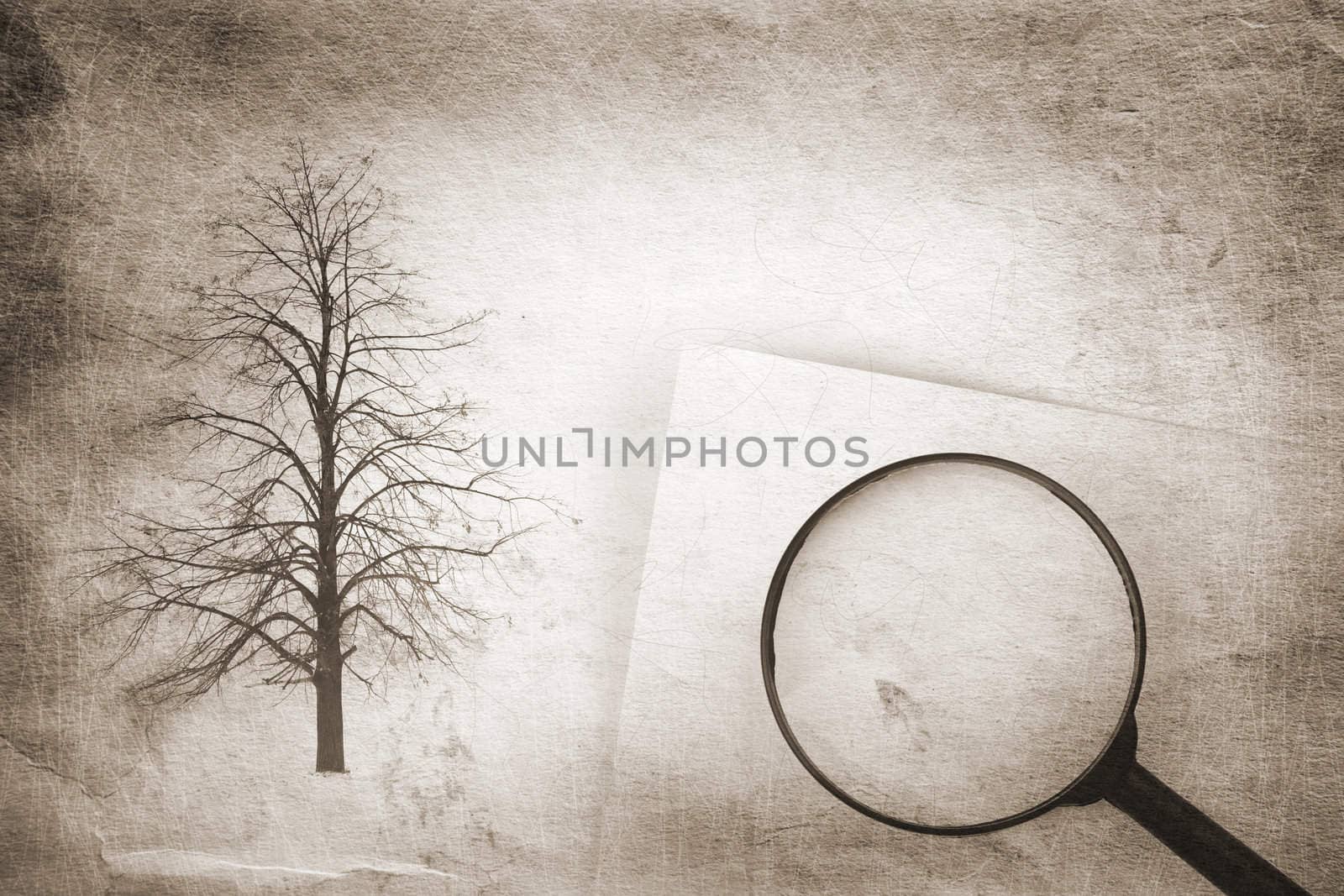 special paper texture ,toned and grunge f/x,made from my images