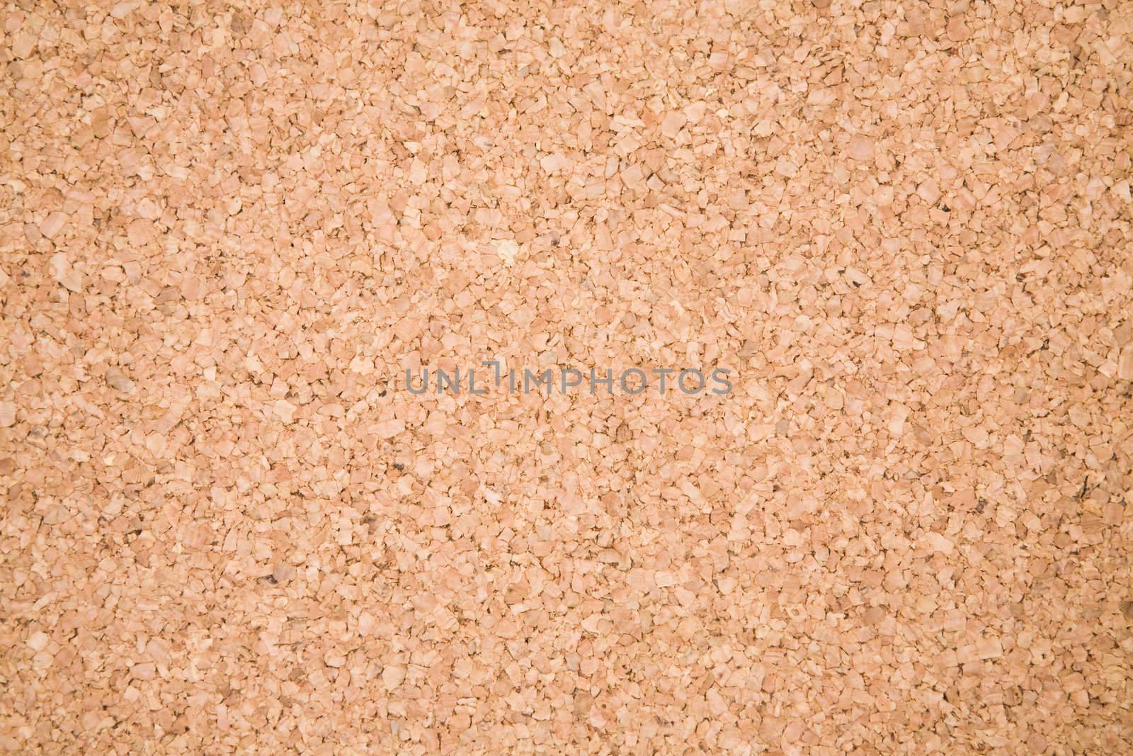 empty corkboard focus point on center of photo