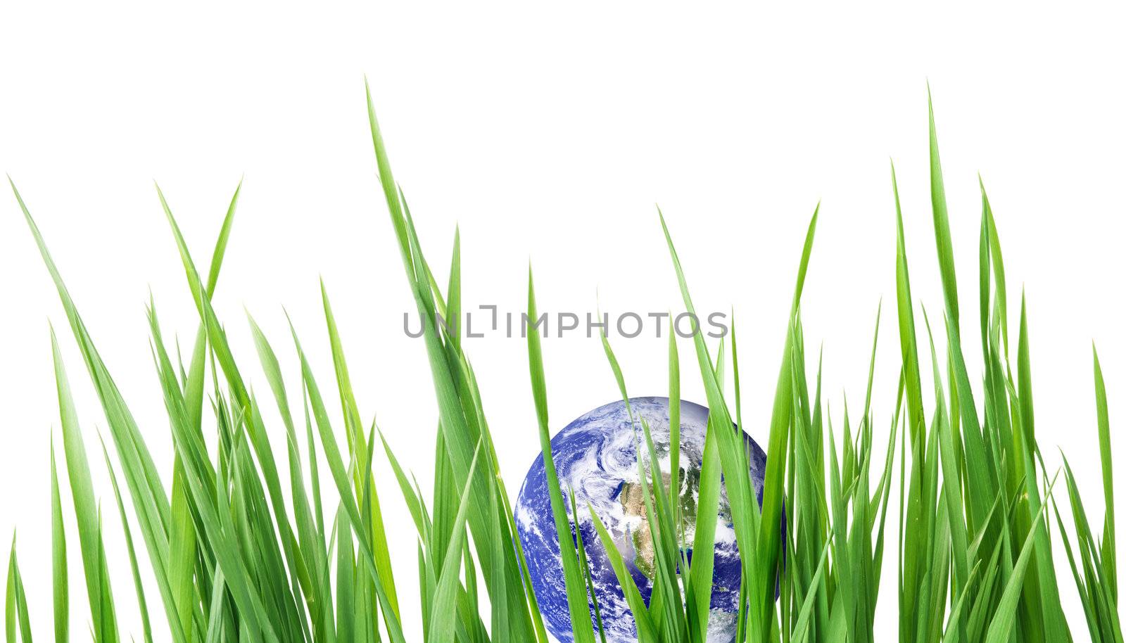 green planet by Kuzma