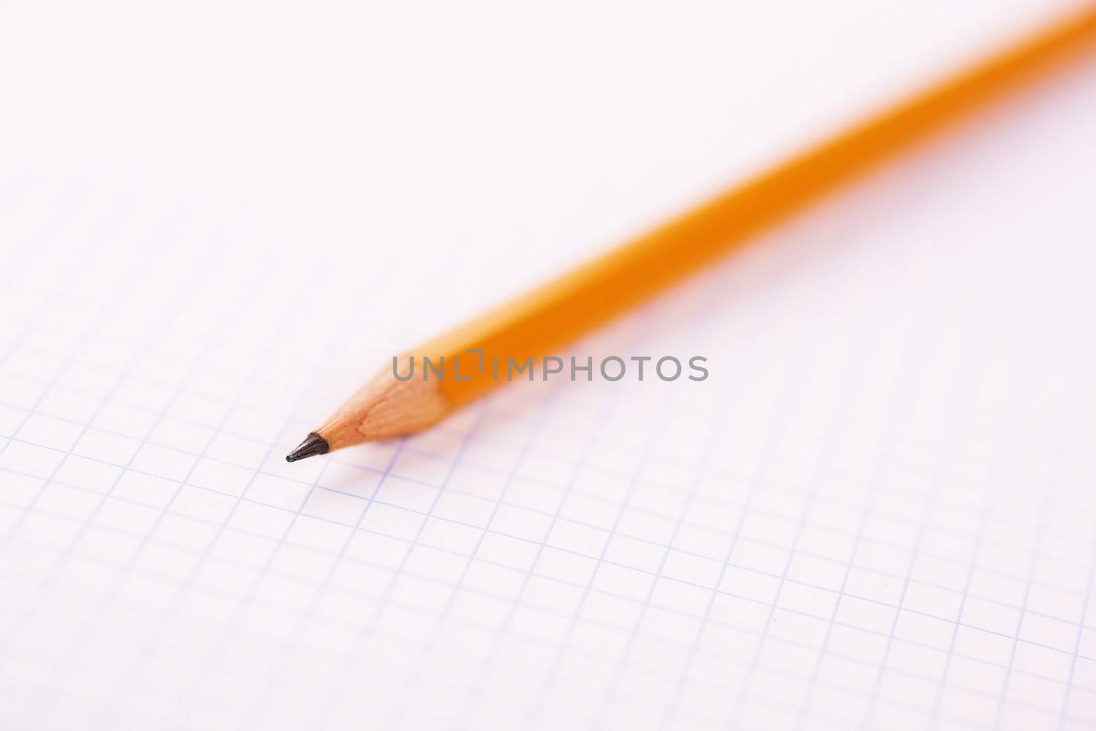 pencil by Kuzma