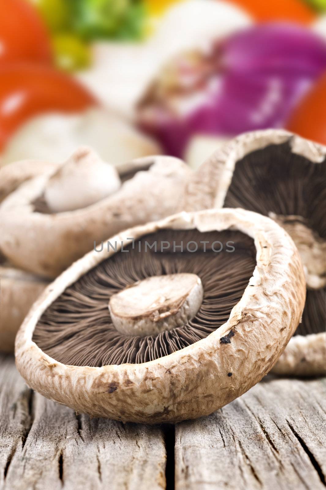 Healthy fresh mushrooms with very shallow depth of field