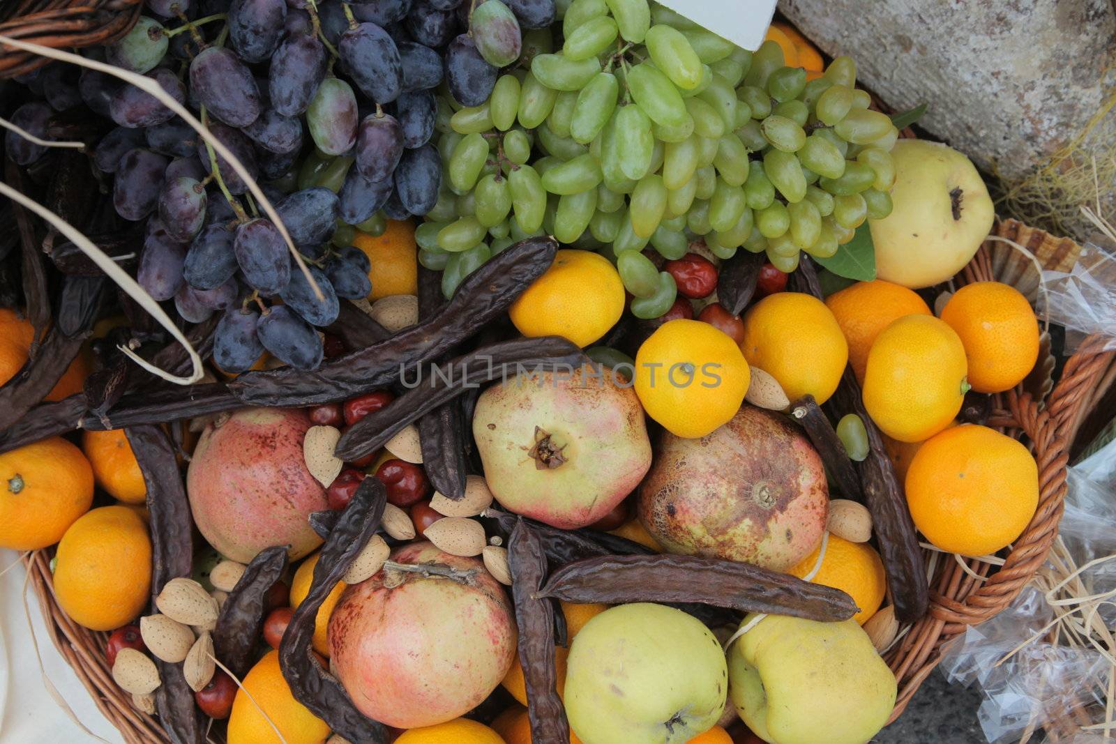 Autumn Harvest