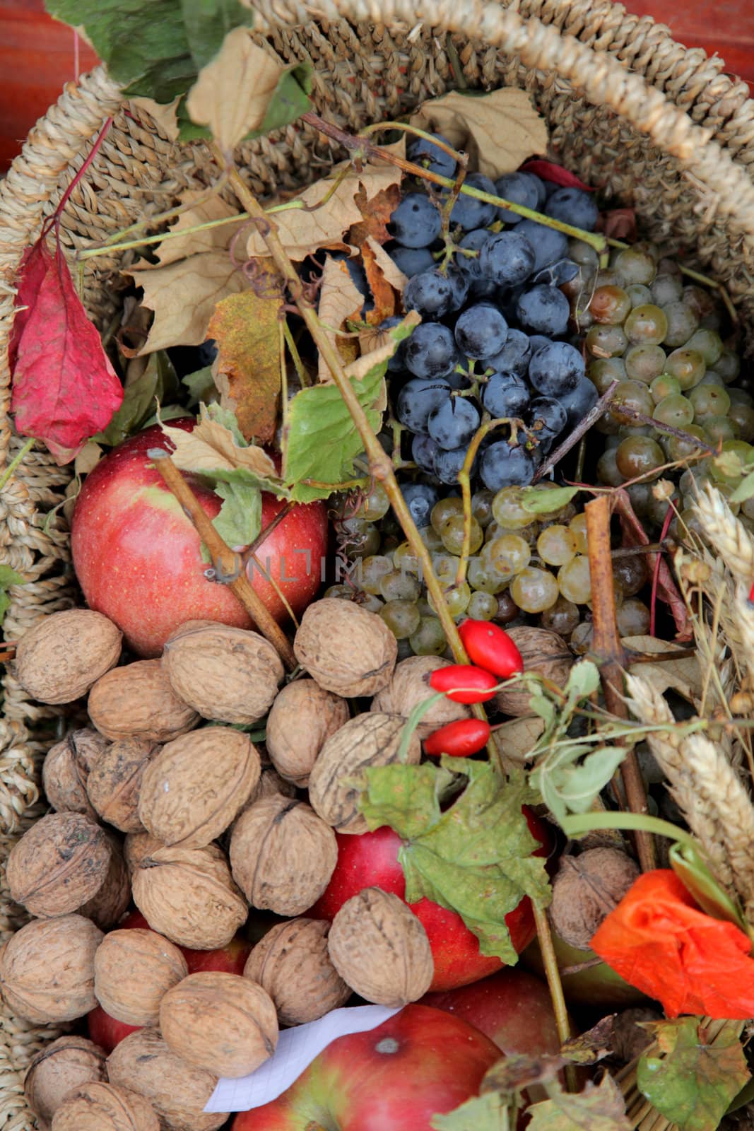 Autumn Harvest