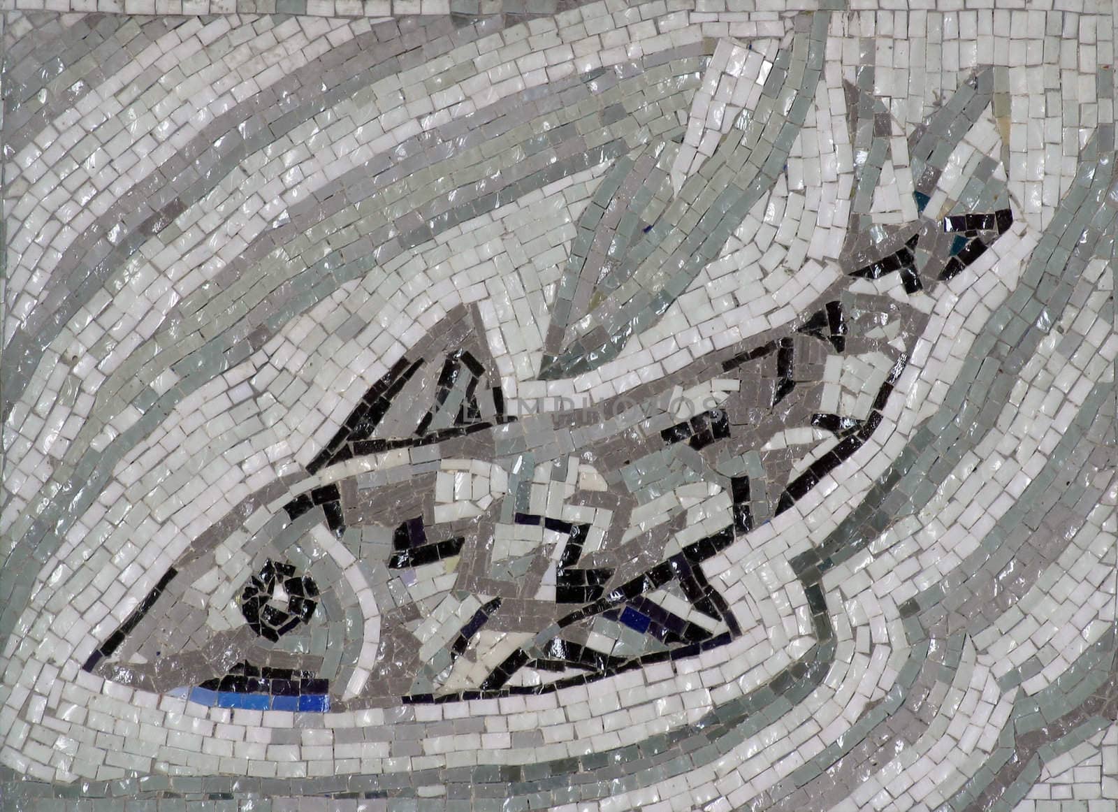Fish symbol of Christianity