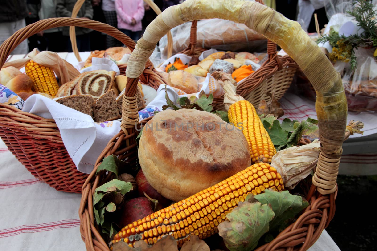Autumn Harvest