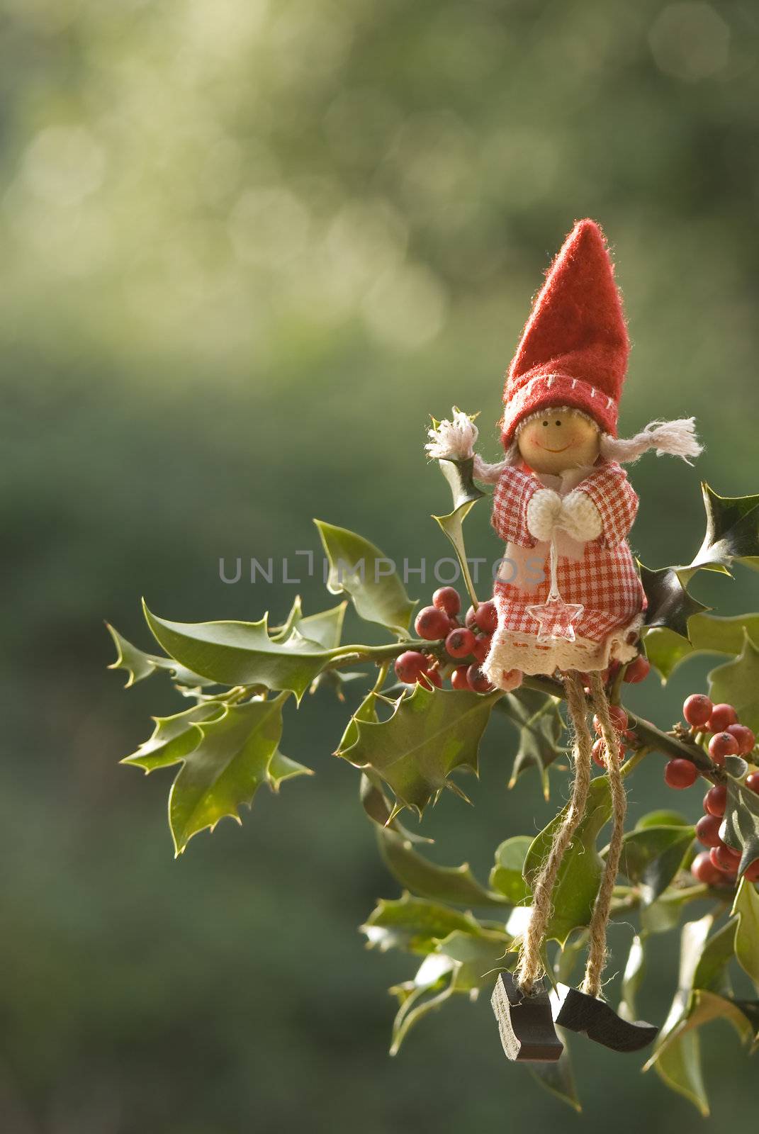 Christmas elf doll sitting on a branch of holly